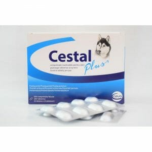 CESTAL PLUS 1 BLISTER / 8 TABLETS /