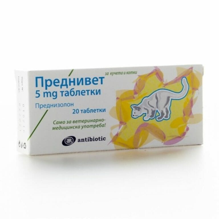 PetShopBoss.com | Most Affordable Pet Products