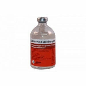Lincomycin Spectinomycin 100 ml