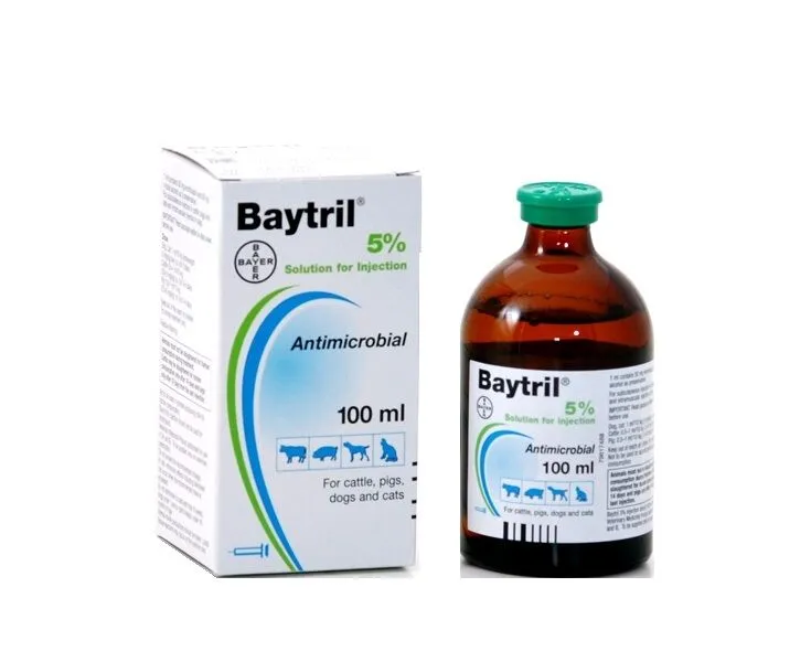 What is Baytril Used for in Cattle